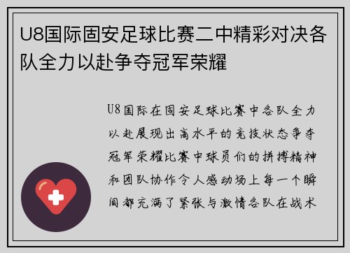 U8国际固安足球比赛二中精彩对决各队全力以赴争夺冠军荣耀